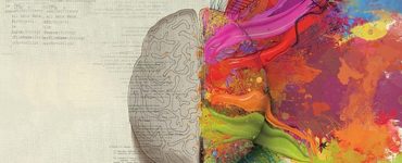 How Is The Structure Of The Autistic Brain Different?